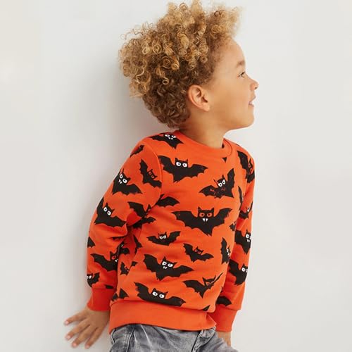 Image of Popshion Toddler Boys Sweatshirt Cotton Lightweight Kids Winter Warm Sweater Crewneck Pullover Tops