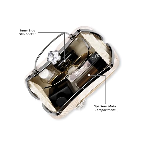 Image of Lavie Signature Women's Bangor Handle Framed Clutch | Ladies Purse | Gift For Women