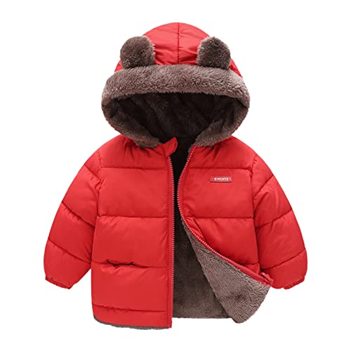 Kids Boys Girls Hooded Puffer Coat Thick Fluff Zipper Long Sleeve 𝗕ear Jacket Winter Puffy Windproof Outwear