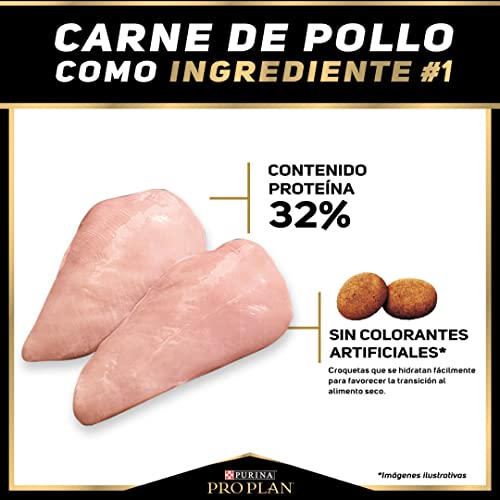 Lista de Proplan , listamos los 10 mejores. 27 Imagen adicional