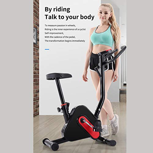 Ultra-quiet Exercise Bike,Ultra-quiet Indoor Exercise Bicycle Spinning Cycling Bike for Home Office Cardio