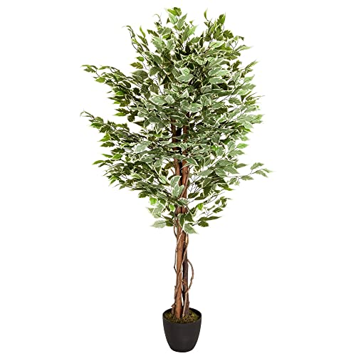 hjh OFFICE Planta artificial FICUS Benjamini Altura 165 cm Verde/Blanco 1008 Hojas Deco Planta de interior Abedul Artificial, 871000