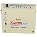 NEW-RAAGINI DIGITAL ELECTRONIC ~ TANPURA TAMBORA PLAY WITH TABLA ~ ESRAJ ~ SITAR