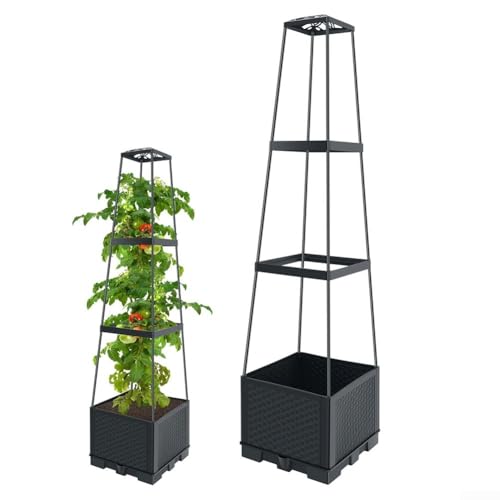 Cama de jardín elevada para tomates que evita plagas y optimiza el balcón 3