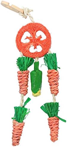 Rosewood Boredom Breaker Carrot Dream Catcher for Small Animals, clear