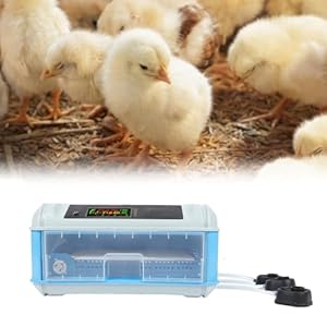 TARSHYRY Automatischer Eier-Inkubator (24 Eier)
