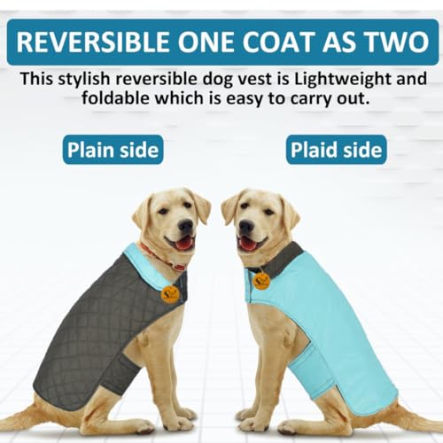 Image of Sage Square Double-Sided Quilted Dog Jacket - Weather-Resistant, Lightweight, Waterproof, Designed for Comfort & Warmth, Adjustable Fit, for Indoors or Outdoors (Small - 10 Inches, Sky Blue)