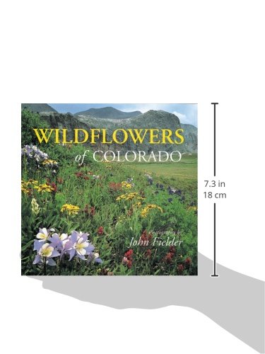 Wildflowers of Colorado      Hardcover – January 1, 1994
