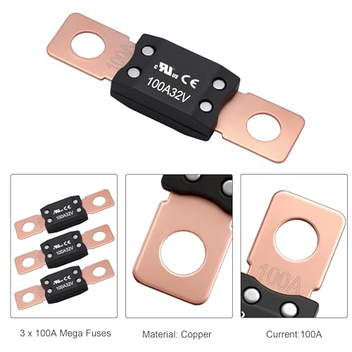 Fusible de 100 amperes 9 Imagen adicional