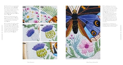 Paint with Thread: In the Garden: A step-by-step guide to embroidery - Image 3