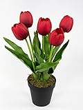 Seidenblumen Roß