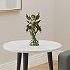Pacific Giftware Forest Fairy Greenwoman Estatua De Figurita | Meses