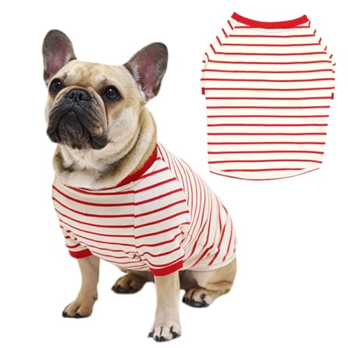 [FRENCH FRENCH]綿100％ 犬服 犬 ボーダーTシャツ フレンチブルドッグ 可愛い シンプル しっかり生地感 フレブル パグ 細ボーダー 太ボーダー 服 秋 冬 中型犬 小型犬 デイリー 部屋着 コットン100％ ドッグウェア ペットウェア ペット服 洋服 KM939TS (細ボーダー/レッド, BLサイズ)のサムネイル