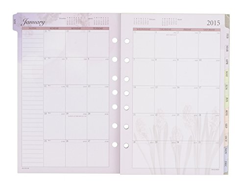 Day Runner Nature Monthly Desk Calendar Refill 2015, 5.5 X 8.5 Inch Page Size (061-685) #TOP3