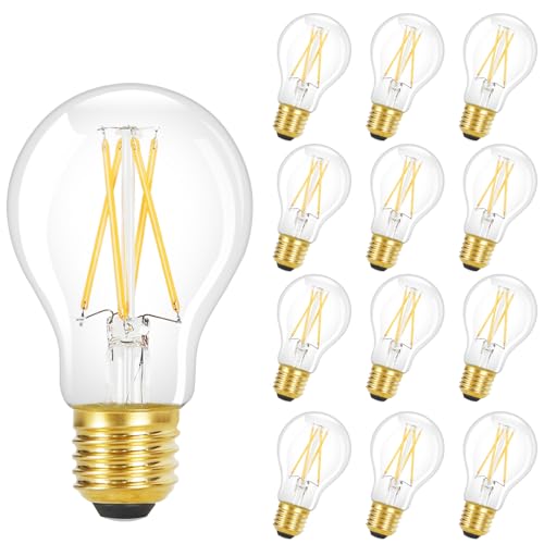 GBLY A60 LED E27 Glühbirne