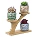 OUSHINAN Mini White Ceramic Owl Garden Pots Decorative Nursery Succulent Planters with 3- Tier Bamboo Tray for Room Decor (3 Owl Pots in 1 Treetop Bamboo Stands)