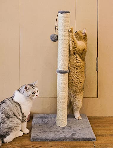 Qucey 32 Inches Cat Scratching Post, Cat Scratch Post Claw Scratcher With Sisal Rope, Scratching Post For Indoor Cats With Hanging Ball #TOP3
