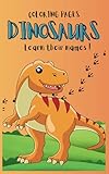 Dinosaurs Coloring Book for Kids: Over 20 Fun Dinosaurs Drawings with Their Names