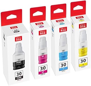 【純正品】GI-30 PGBK M Y C ブラック マゼンタ イエロー シアン 4色セット