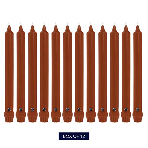 Image of Colonial Candle Unscented Taper Candle, Classic Collection, Amber, 12 in, Pack of 12 - Up to 10 Hours Burn