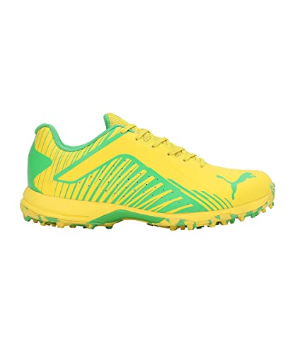 Image of Puma Men 22 FH Rubber Cricket Shoe