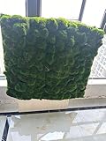 Artificial Moss Wall Panels(39.37"x39.37") for Indoor Outdoor Decor Moss Wall Decor for Home and Garden Art Wall Decor DIY Kit Perfect for Living Room Office Mall Courtyard.﻿ (A)