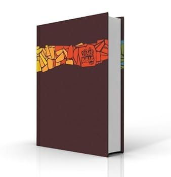 Hardcover Spark Bible NRSV Book