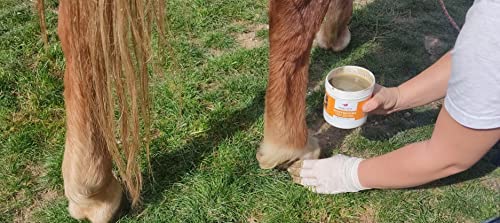 Nature'o Gale de Boue (500 ML PET) attaque le germe