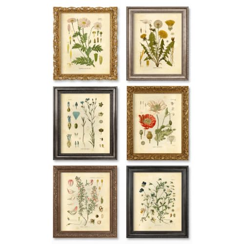 Ink Inc.- Wildflower Prints (Set of 6), Wall Art, Gallery Wall Decor, Floral Poster Set, Gallery Wall Decor, Bedroom Decor, Botanical Prints, 100 lb Satin Paper, 8x10 Inch Framed Art Prints - Unframed