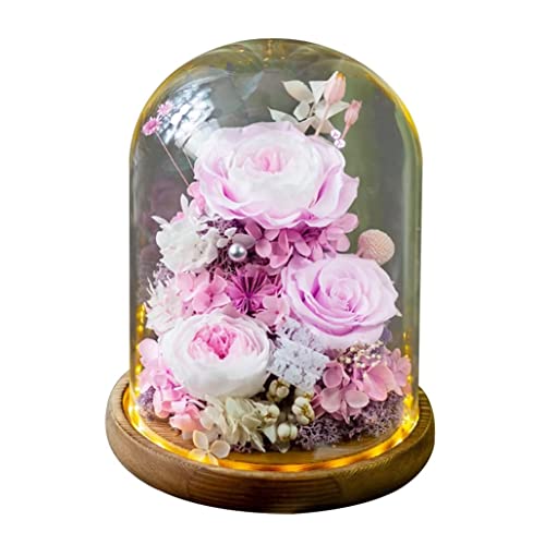 vU[uht[ v[g KXh[ t[Mtg uU[ht[ hCt[ o Mtg P[X Mtg{bNX Ԃ肴[ǃt[ KN AW ͂Ȃ bsOς bZ[WJ[h ỉ LO v[g 