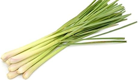 Lemon Grass 100G (Prepacked)