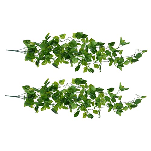 Hojas De Parra Lidl Me pica la curiosidad