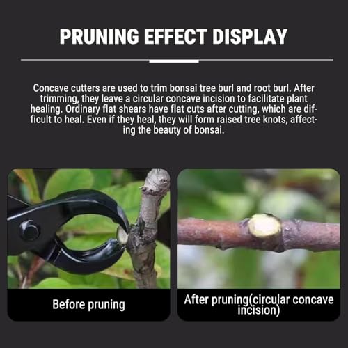Uadme Konkavschneider Bonsai, 210mm Bonsaischere aus Manganstahllegierung, Professionelle Bonsai Werkzeug, zum Entfernen Kleiner Äste, Vorsprünge und Knollen