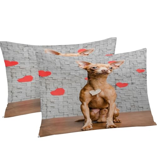 Housse de couette 240x260 avec fermeture éclair pour changer le lit facilement et sans effort