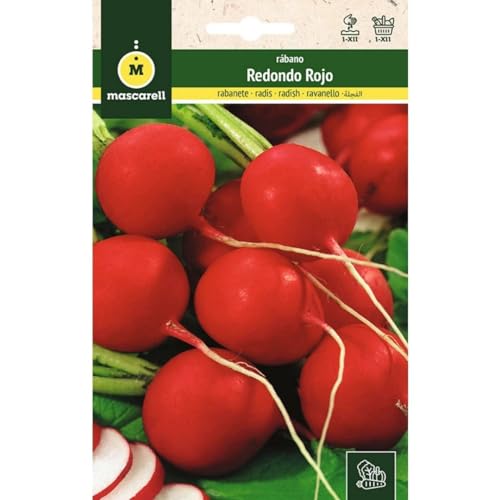 Mascarell Semillas, RÁBANO, Semillas Huerto, RABANITO REDONDO ROJO, Crea tu Propio Huerto Urbano y Cultivo en Casa, Plantas Hortícolas, 14 Gramos
