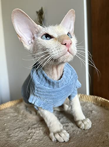 Kotomoda Cat's T-shirt Corduroy for Sphynx and naked cats (Medium, Blue), Corduroy Blue - Image 2