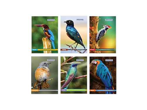 Image of KAANUKA Long Size Notebook - 300 Pages, Ruled, Single Line, Long Size - 27.2cm X 16.7cm, Pack Of 6 Notebooks, Long Size Single Line Notebooks for School and College Students
