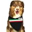 Italia Italy Italian Flag