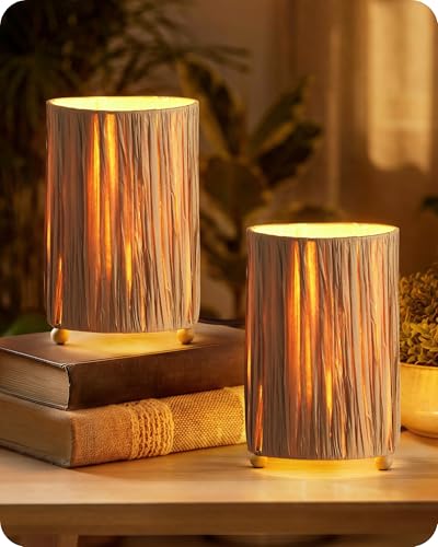GOEBLESON Lámpara de Mesa de Imitación ratán, Juego de 2, Pantalla Tejida a Mano, con Bombilla LED de 4W 2400K Luz Cálida, Lámpara de Mesita Bohemia, para Dormitorio, Oficina, Salón ZLF11TLDP205