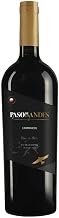 Vinho Paso De Los Andes Carmenere 750ml