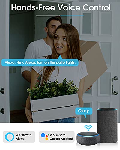 https://m.media-amazon.com/images/I/41Fo7GMKjlL._SL500_.jpg