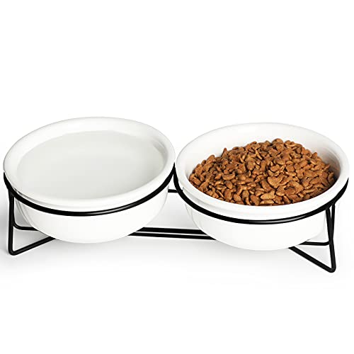 Gdcz Ceramics Raised Cat Small Dog Bowls With Heighten Metal Stand For Pet Food And Water Dishes, 15 Ounces (White) #TOP21