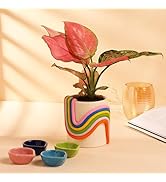 Gleevers Diwali Gift Pack |Diwali Gift Pack of 5 with Ceramic Pot (Rainbow) & 4 Ceramic Diya for ...