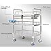 GagalU Medical Trolley Stainless Steel with Two Drawers and Three Layers of Mobile Therapy Trolley, Load 330LB, Surgical Trolley, 360 ° Rotating Wheels