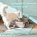 XL Stainless Steel Cat Litter Box | Extra Large Litter Box Set with Scoop & Absorbent Mat | Large Kitty Litter Pan Stainless Steel for Indoor Cats | Big Litter Box for All Cat Sizes