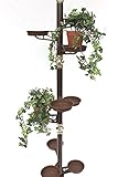 DanDiBo Teleskop Blumenregal Metall Spannregal bis 260 cm Blumensäule Blumentreppe Art.7 Blumenständer Pflanzensäule Pflanzenständer