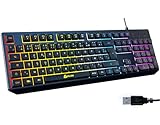 KLIM Chroma Clavier Gamer AZERTY FR - Nouveauté - Silencieux USB - Clavier Filaire Rétroéclairé LED - PC Gaming PS4 PS5 Mac - Noir