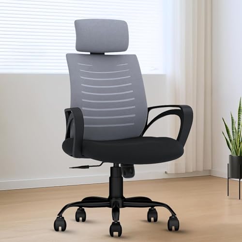 Align Bliz Mesh Computer Chair for Work from Home, Ergonomic Office Seating with Height Adjustment, Armrest Support, Ventilated Backrest, Smooth Swive