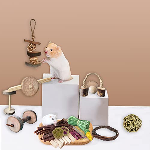 Dbeans Flourithing Guinea Pigs Toys, Natural Wooden Rabbit Toys, Bunny Toys For Exercise Molar Teeth Care, Best Choose For Gerbils, Rats, Birds, And Other Small Pets #TOP5