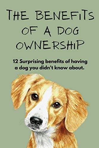 The Benefits Of A Dog Ownership: 12 Surprising Benefits Of